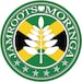 Jamroots Moringa