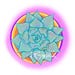 Buyer Avatar