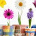 Buyer Avatar
