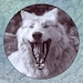 Wolf Girl