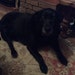 Richard Duncan avatar