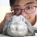 CrochetByJingyi