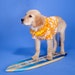 decosurf