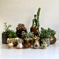 IndoorGardeners
