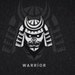 WarriorDesing
