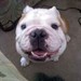 annieparsley avatar