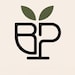 BravePot admin Nikola
