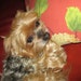 Buyer Avatar