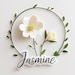 JasmineNestVN
