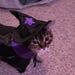 ComfyCatCrochetShop