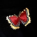 Jeannie avatar