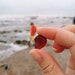 SunnyFineJewelry