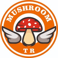 MushroomTR