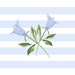 winterbornedecor