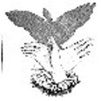 BrokenWingedBird