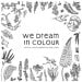 wedreamincolour