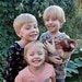 AdamsFamilyFarmShop
