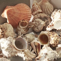SeaGypsyBygones