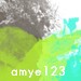 amye123