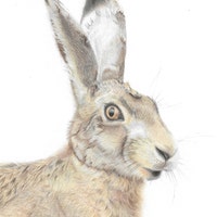 CarolAnnJenkinsART