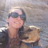CaninusCollars