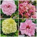 NorthwoodsNursery