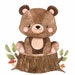 Buyer Avatar