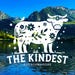 The Kindest