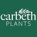 CarbethPlantsStore