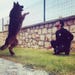 PawsitiveAcademy