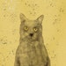 TheYellowEyedCat