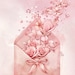 SoftBloomPrintCo