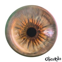 abeillesoins