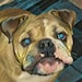 Buyer Avatar