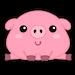 Buyer Avatar