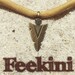 Feekini