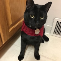 luluandbean
