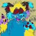 Buyer Avatar