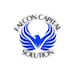 FalconCapitalSolution