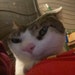 Buyer Avatar