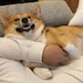 SleepyAsianAesthetic