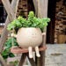 SC HE