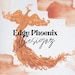 EdgyPhoenixDesignz