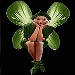 littletreefairies avatar
