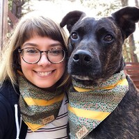 DogPackCollars