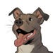 Buyer Avatar