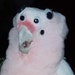 Buyer Avatar