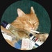 Buyer Avatar
