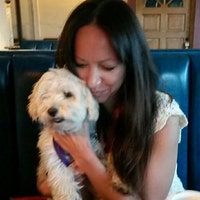 HappyDogLucky
