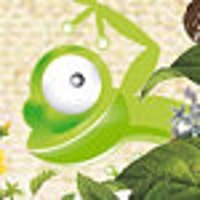 geckogalz